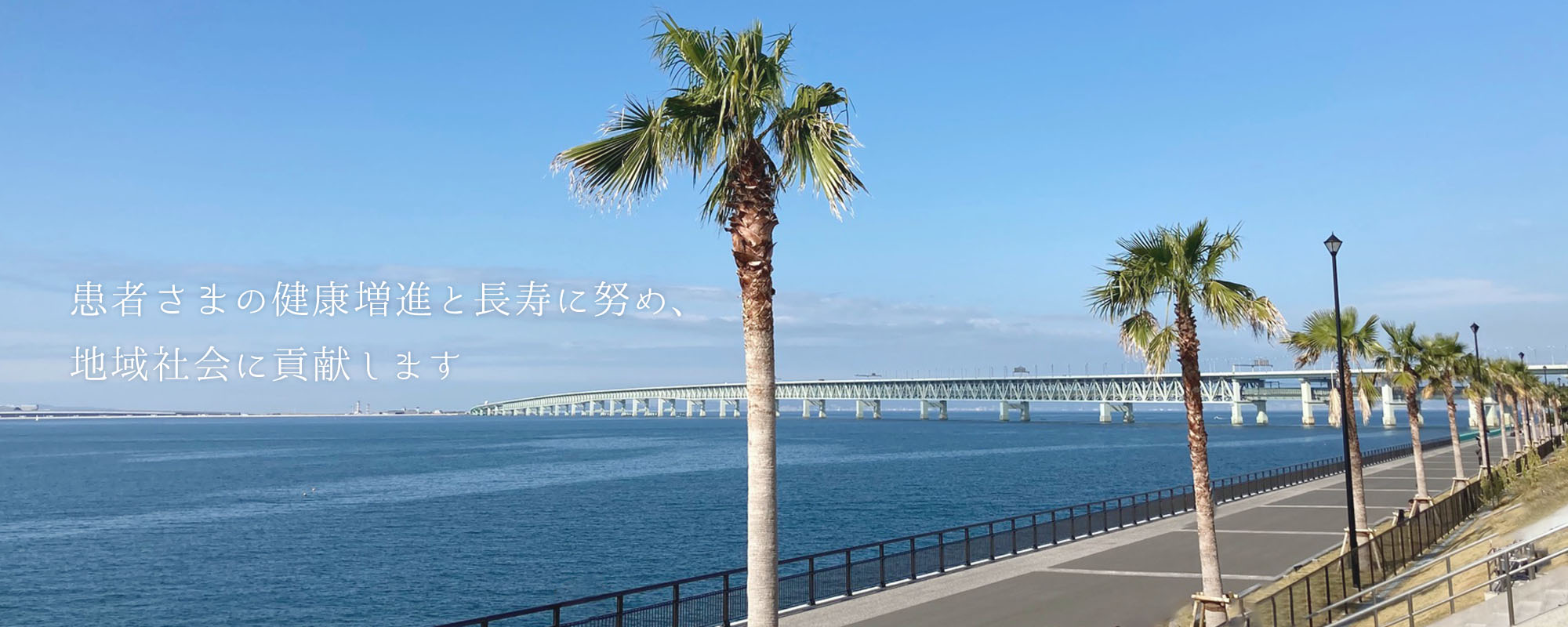 南海泉佐野駅からすぐの歯科医院